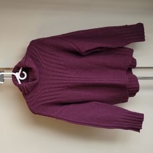 Smartwool Spruce Creek Turtleneck Sweater Plum